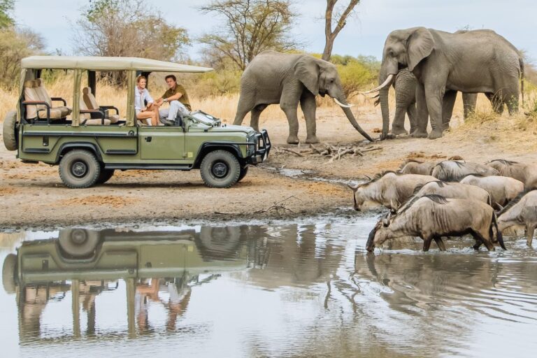a safari vehicle by lake manyara while elephants drinking water. lake manyara safari