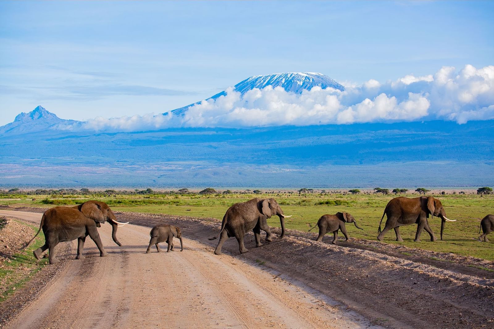 Kilimanjaro Packages