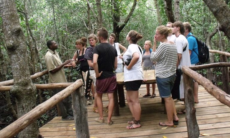 Tourists with a guide at a wooden platform in Jozani Forest, surrounded by lush greenery.