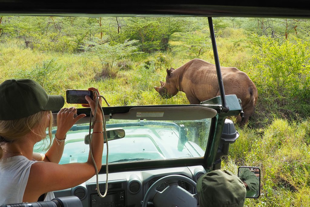 Tourist capturing a photo of a rhino grazing near a safari vehicle in Mkomazi National Park.