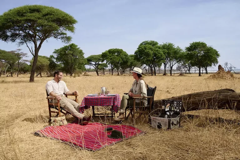 Couple dining in the Serengeti, enjoying a romantic safari experience amid the vast savanna.