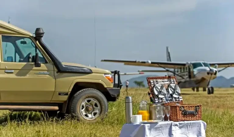 Safari table with food and snacks beside a safari vehicle, with a small plane visible in the background.