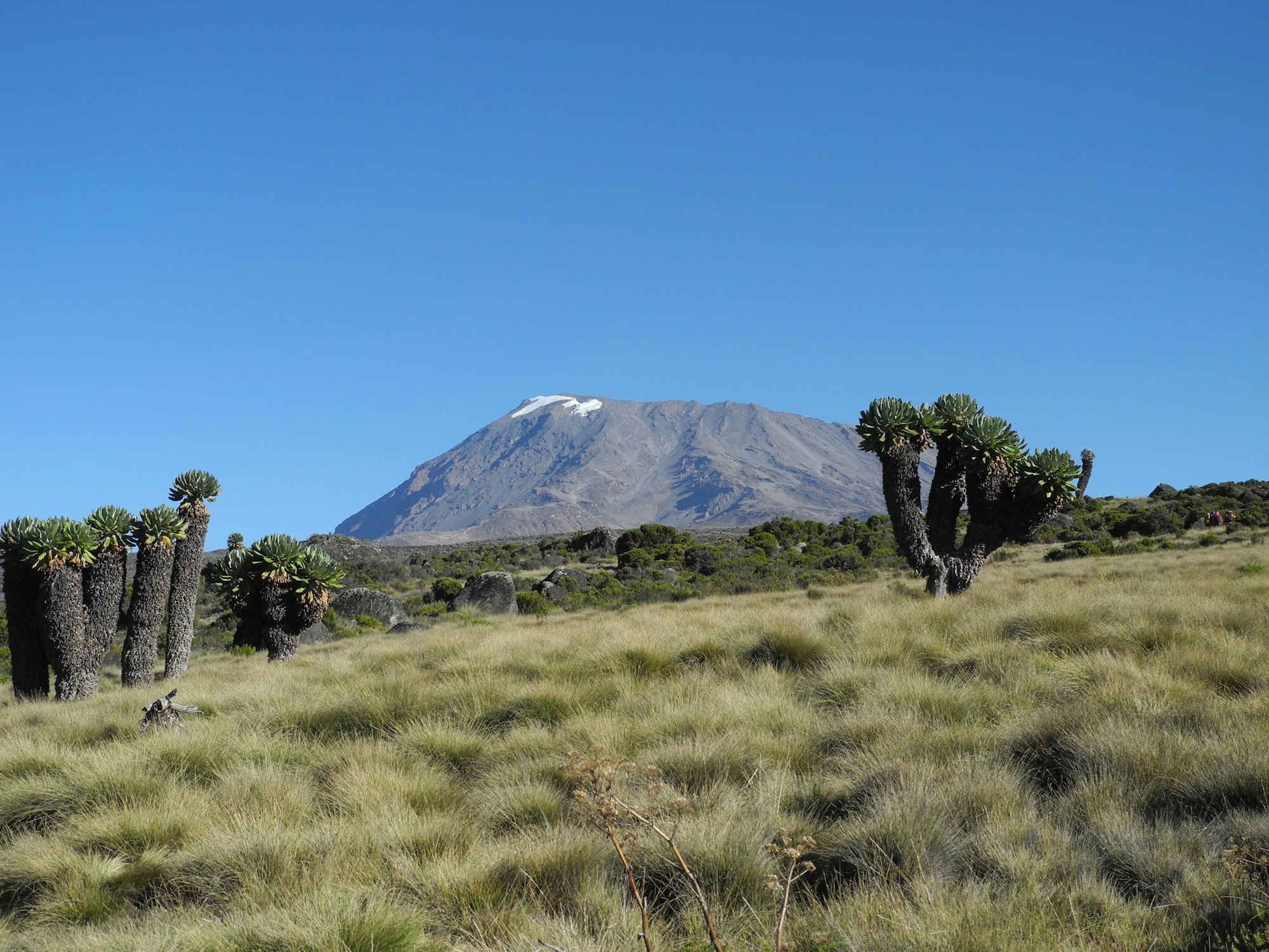 Hiking Kilimanjaro from Horombo Huts