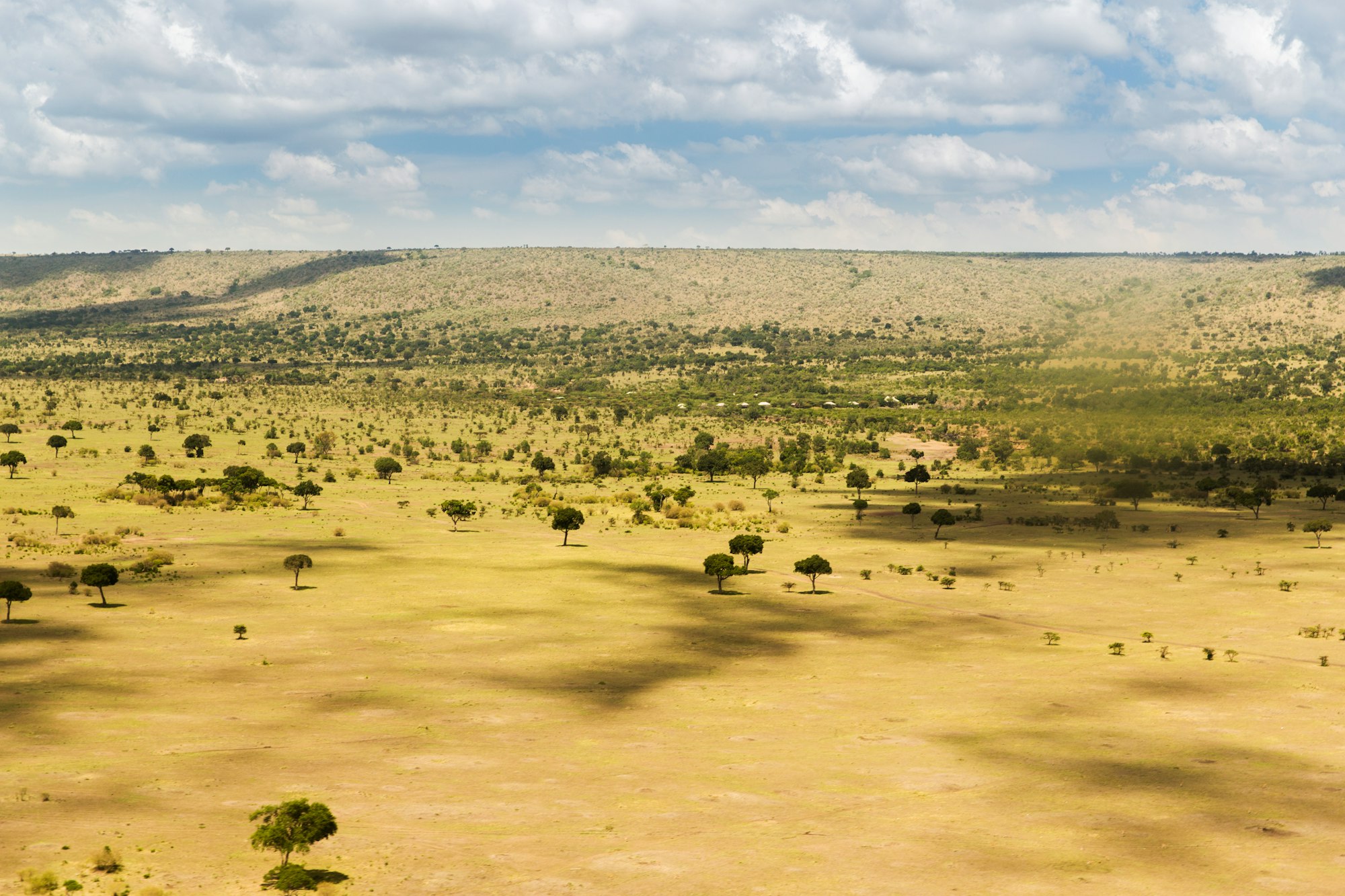 maasai mara national reserve savanna at africa