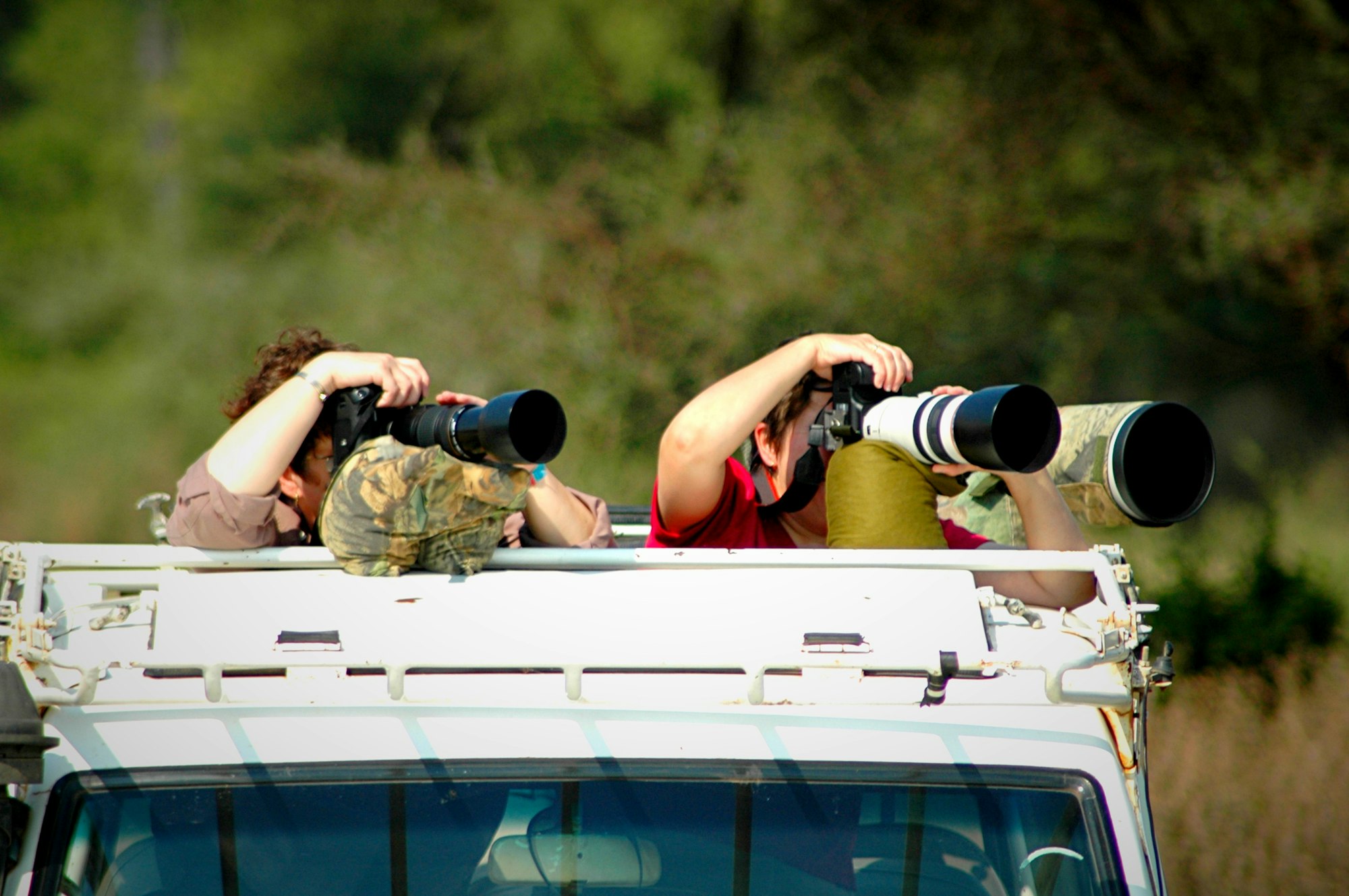 Photographer photographing wildlife during a safari in Tanzania