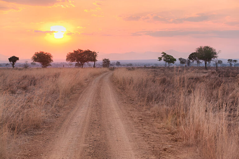 A long, rough road leading to a breathtaking sunset in Tanzania’s wild landscapes.