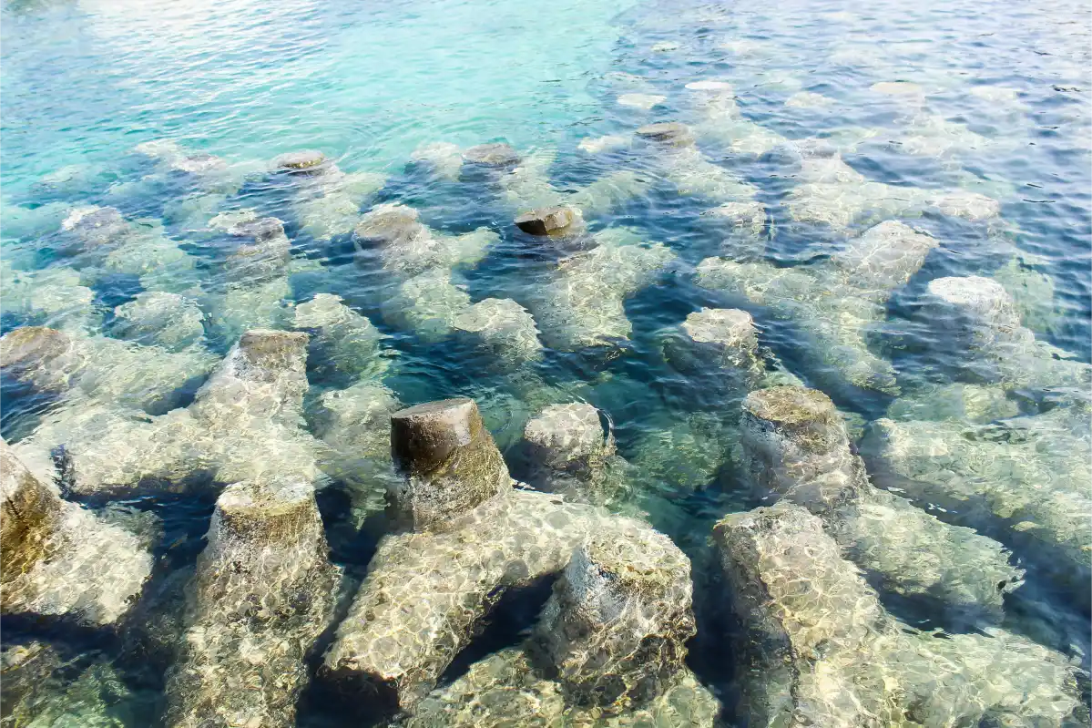 Chumbe Island Zanzibar coral reef conservation eco resort