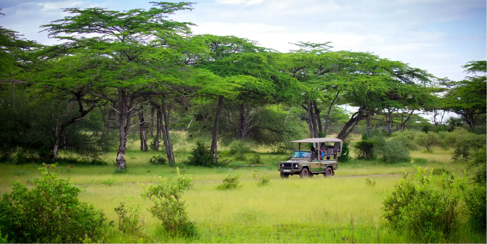 Eco-Tourism in Tanzania Sustainable Safari