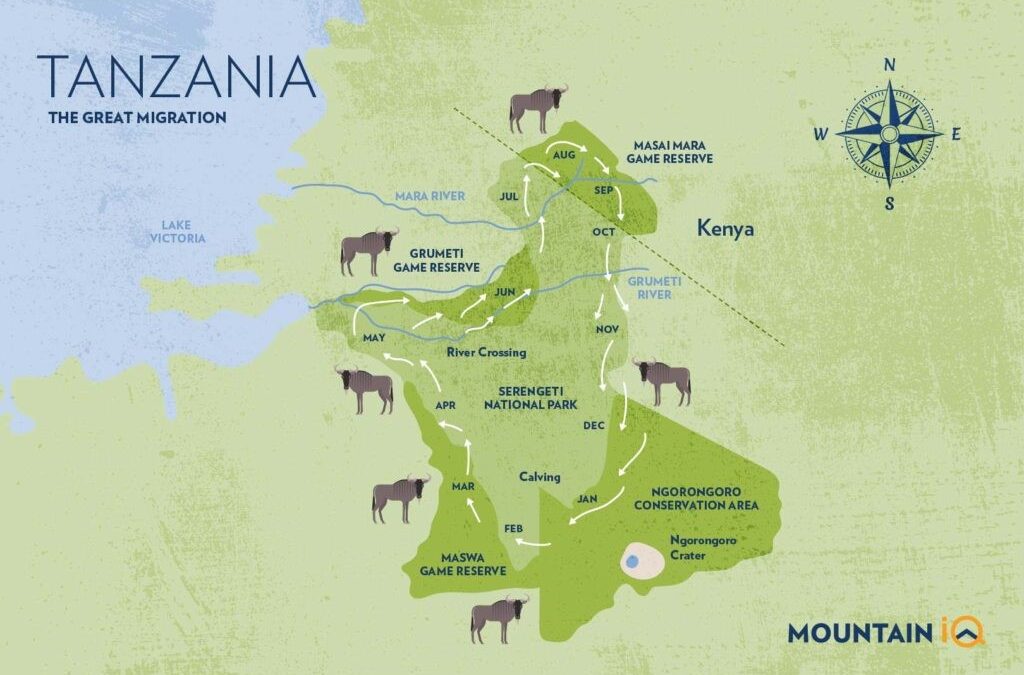 Wildebeest Migration Safari Calendar Tanzania and Kenya