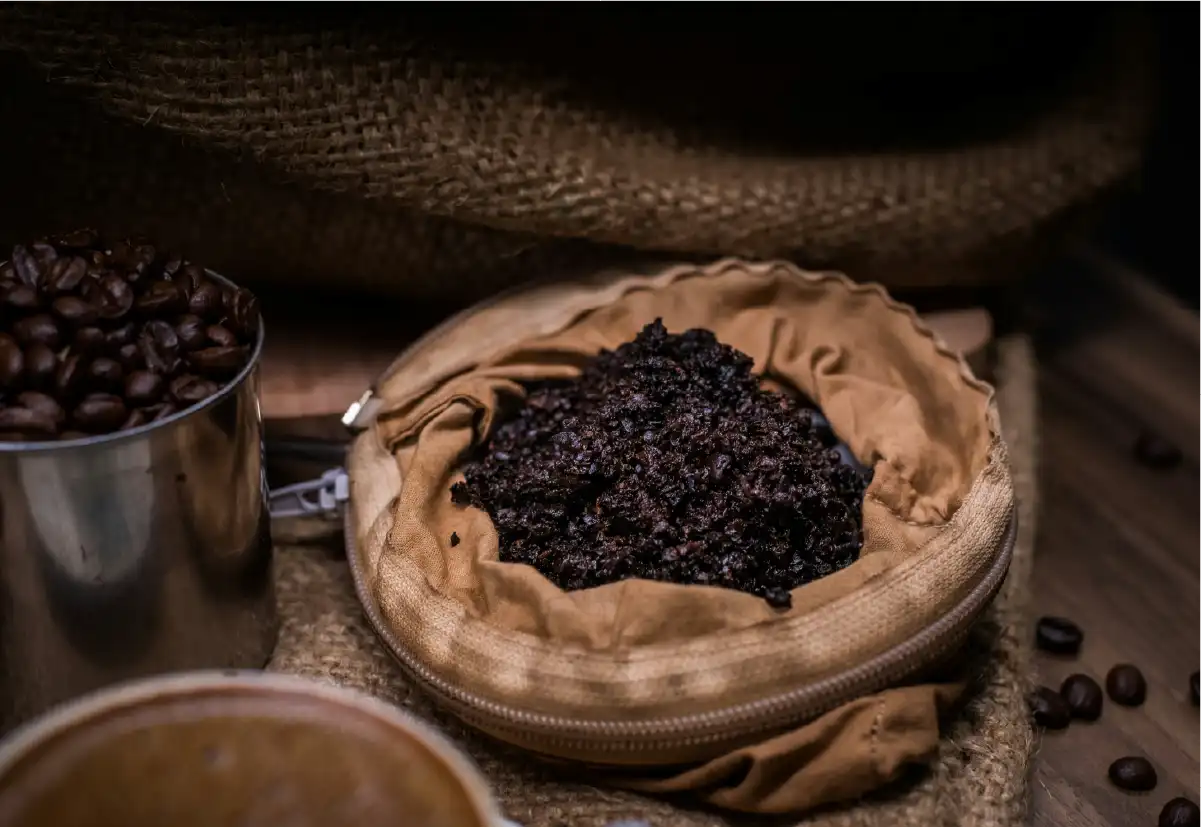 Chaga tribe coffee and traditions