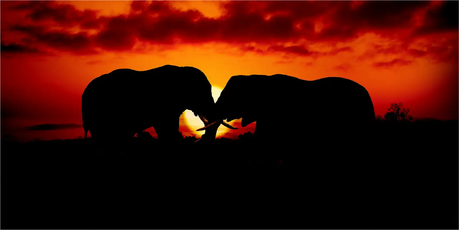 Luxury Serengeti & Ngorongoro Safari experience