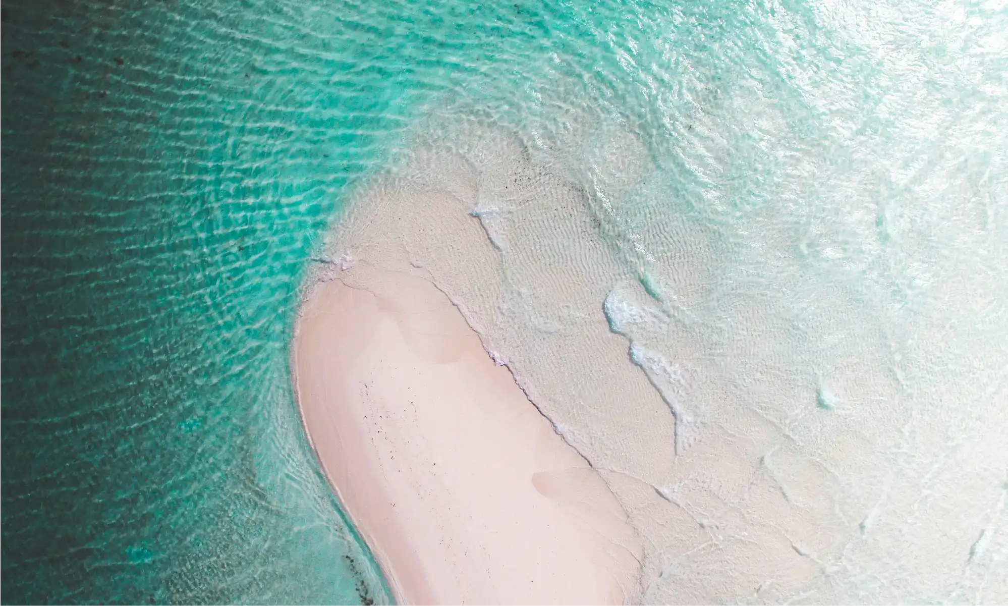 Zanzibar Beach Escape - White sand beach and turquoise waters
