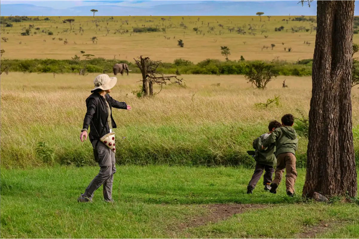 Serengeti Safari Packages