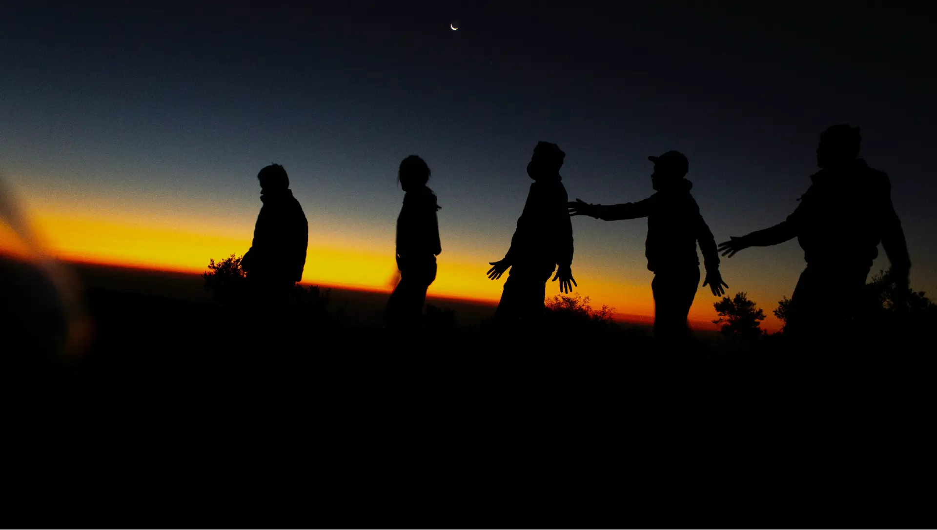 Group Safari in Tanzania