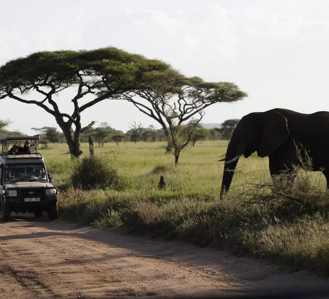 3-days-tanzania-safari