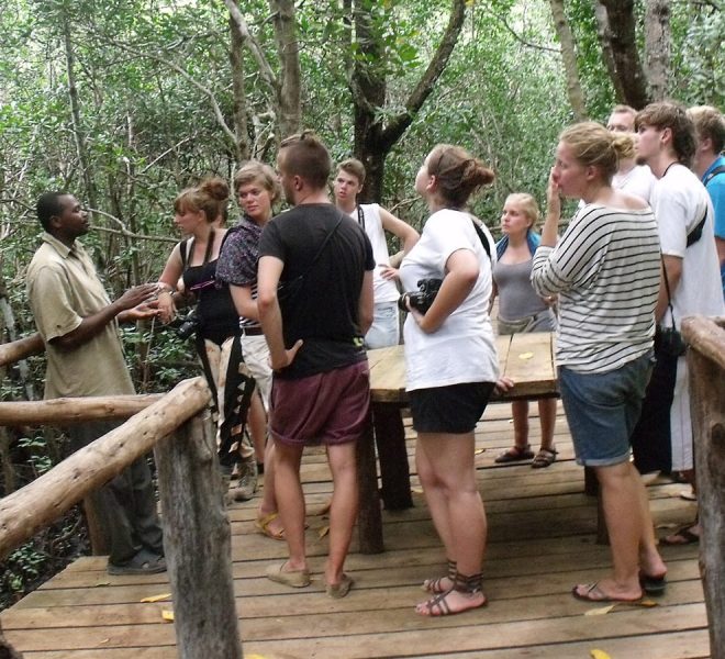 Tourists with a guide at a wooden platform in Jozani Forest, surrounded by lush greenery.