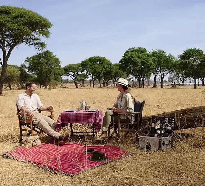 Couple dining in the Serengeti, enjoying a romantic safari experience amid the vast savanna.