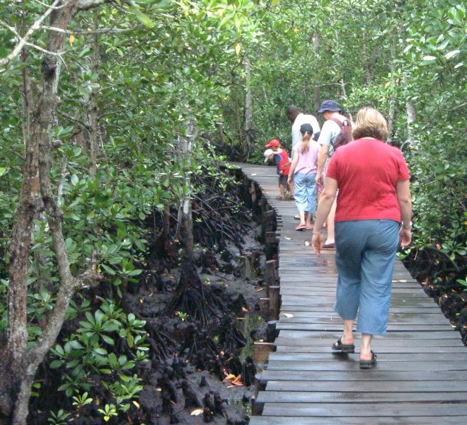 Tourists walking on a wooden bridge in Jozani Forest, surrounded by lush tropical trees.