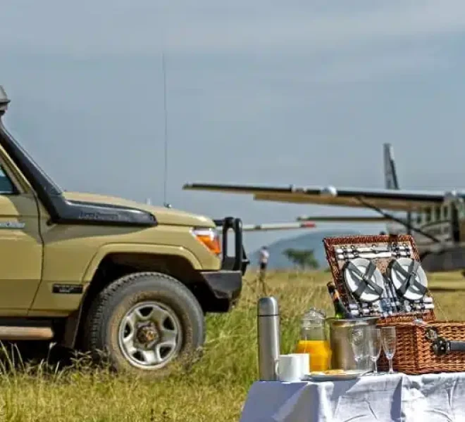 Safari table with food and snacks beside a safari vehicle, with a small plane visible in the background.