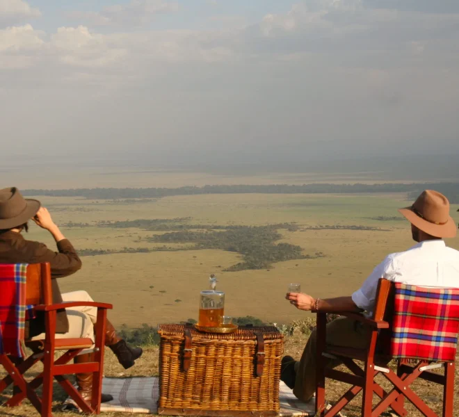 The Serengeti Experience