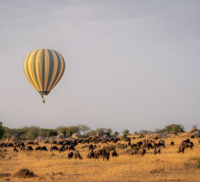 A hot air balloon hovering over the Serengeti plains with wildebeests grazing in golden grass.